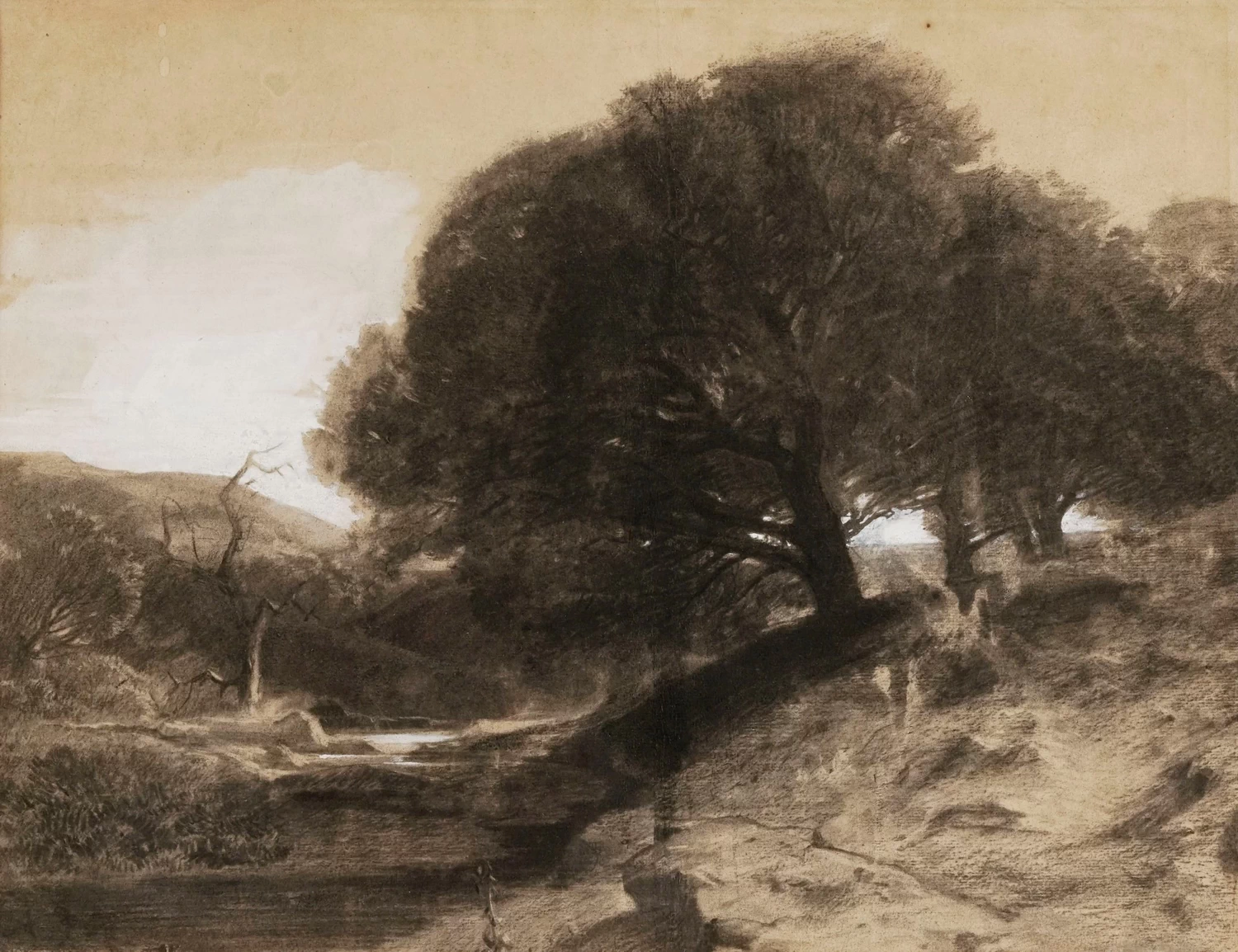 Fiume e alberi